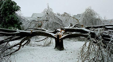 Ice Storms Eagleville