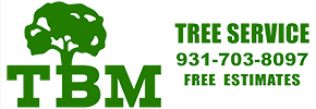 TBM Tree Service Privacy Policy