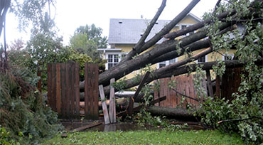 Storm Damage Clean Up Winchester