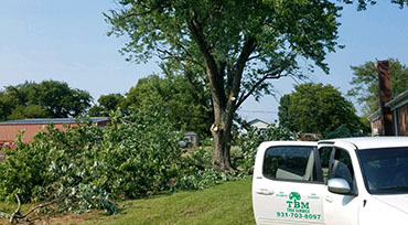 Tree Pruning Eagleville